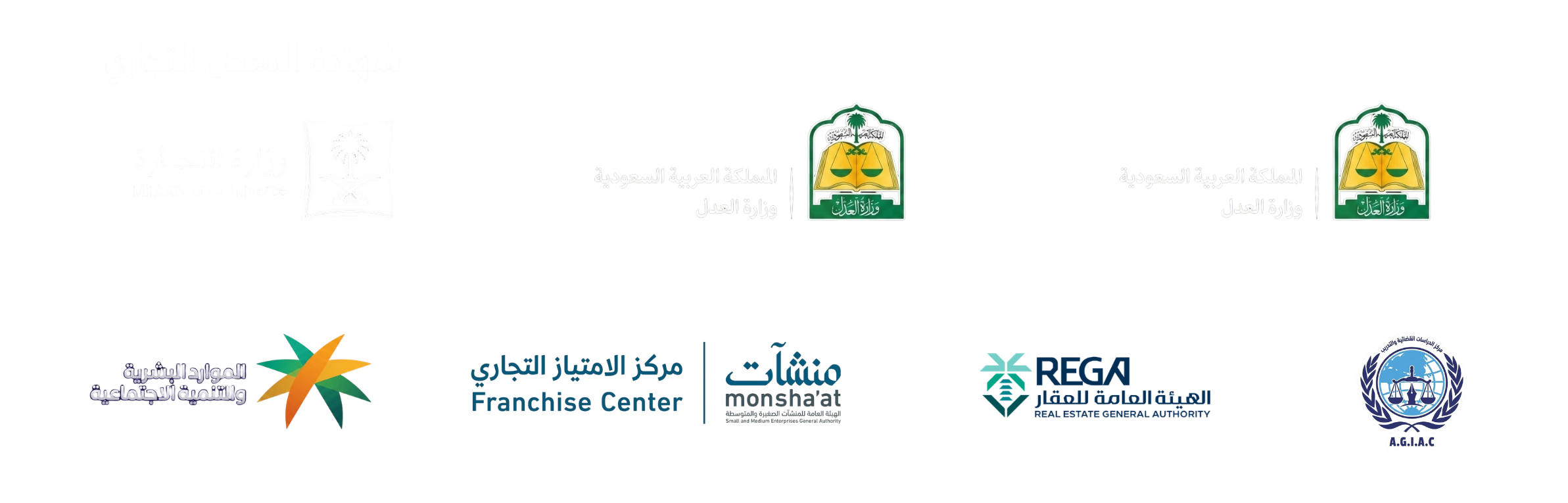 زاد التقاضي 1 1